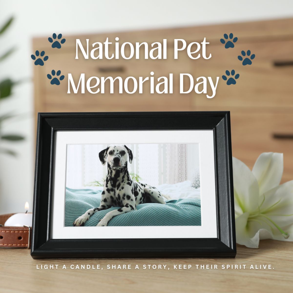 National Pet Memorial Day