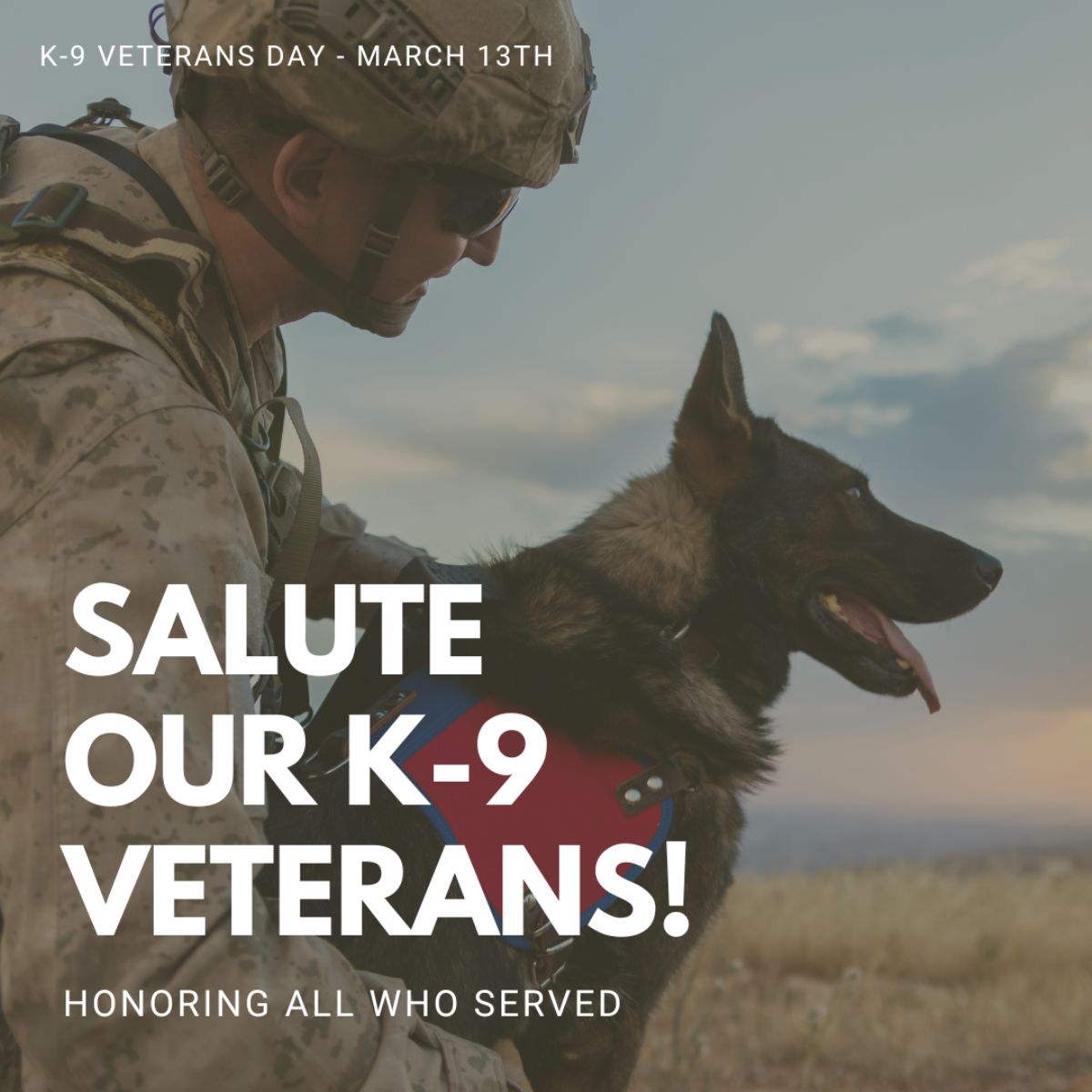 K-9 Veterans Day