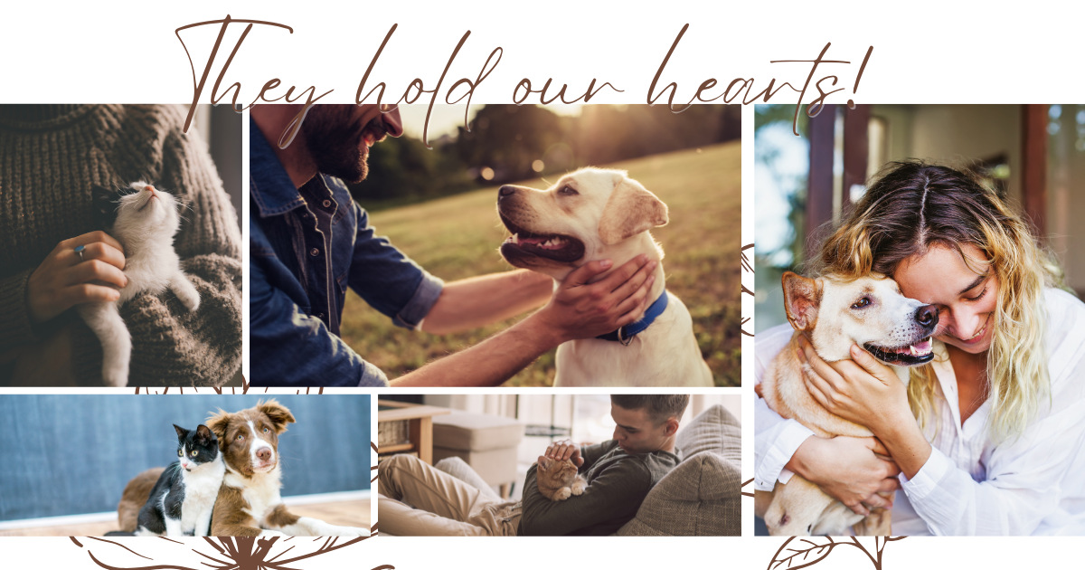 Paw Prints on Our Hearts: A Guide to Honoring Your Pet's Memory